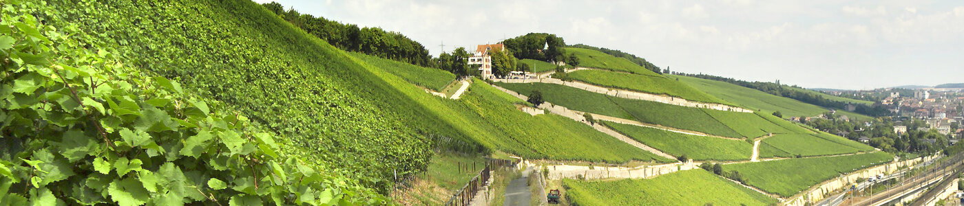 Juliusspital