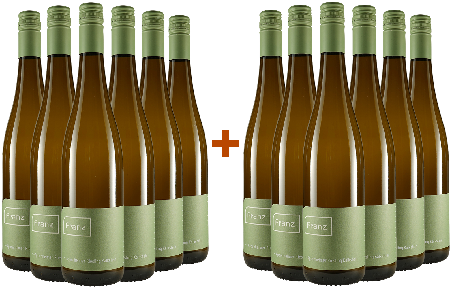 6 +6 Paket - 2022 Nieder-Hilbersheimer Riesling vom Rotenstein trocken
