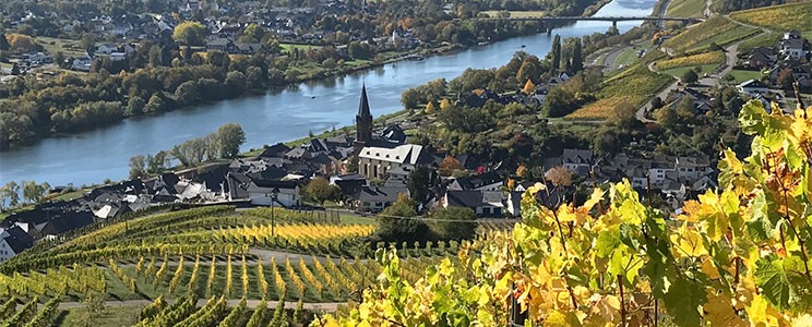 Gindorf