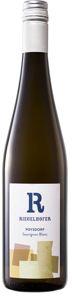 2022 Sauvignon Blanc reflection