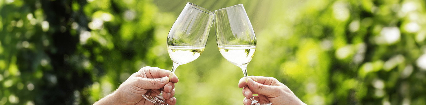 Trockener Weißwein im Weinglas beim Anstoßen zwischen Weinreben