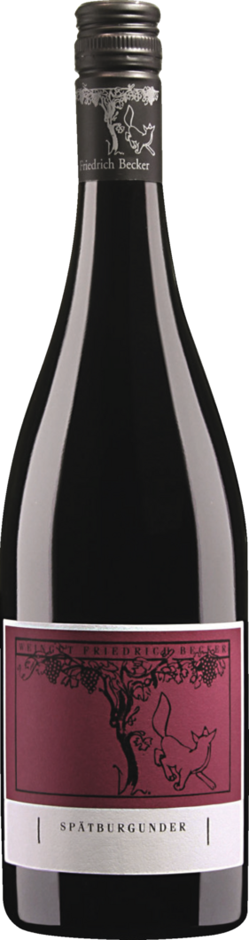 2022 Friedrich Becker Spätburgunder 0,375 L reflection