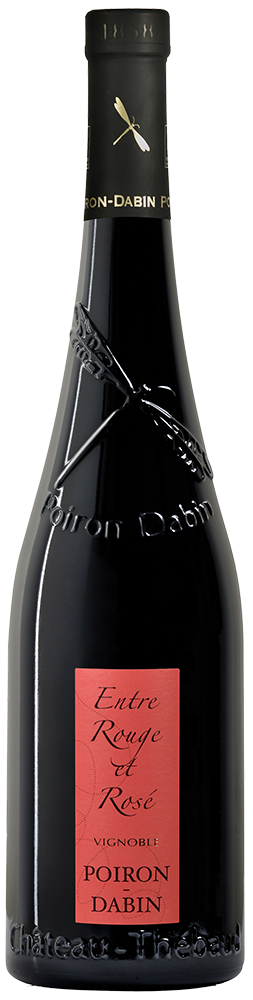 2024 Cuvée "Entre rouge et rosé" Val de Loire IGP