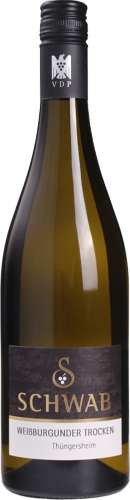 2025 Weißburgunder Ortswein