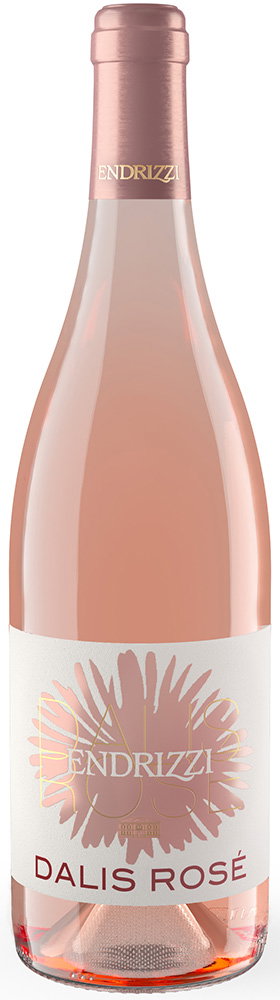 2025 Dalis Rosé Vino Rosato d'Italia 1,5 L reflection
