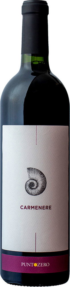 2019 Carmenere Veneto
