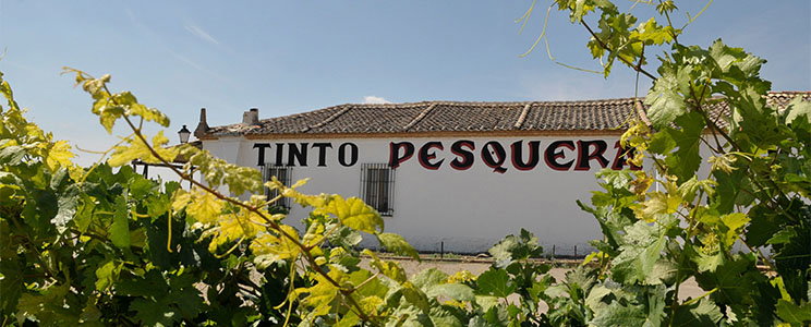 Familia Fernández Rivera-Tinto Pesquera