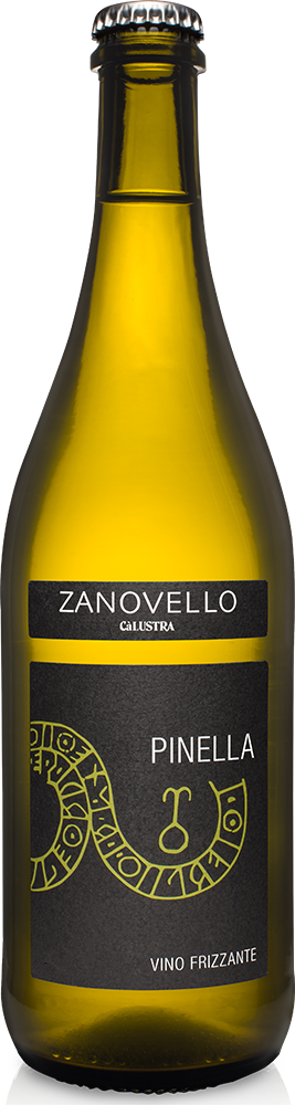 2023 Pinella Veneto IGP BIO