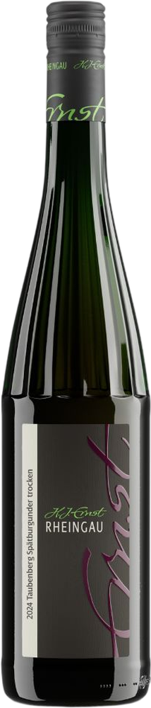 2024 Eltviller Taubenberg Spätburgunder Rotwein