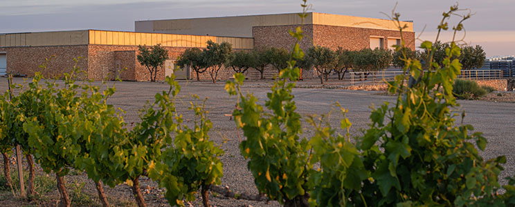 Bodegas Ignacio Marin