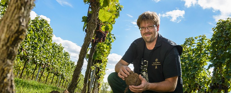 Deutsches Weintor eG