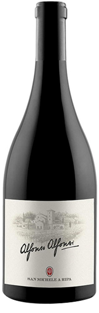 2013 Alfonso Alfonzi Marche IGP