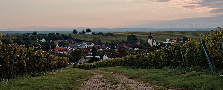 Weingut am Markt