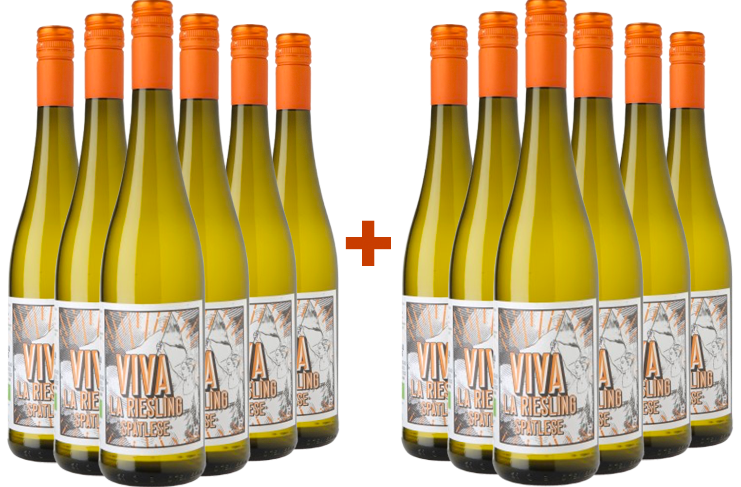 6+6 Paket Viva la Riesling Spätlese BIO BIO
