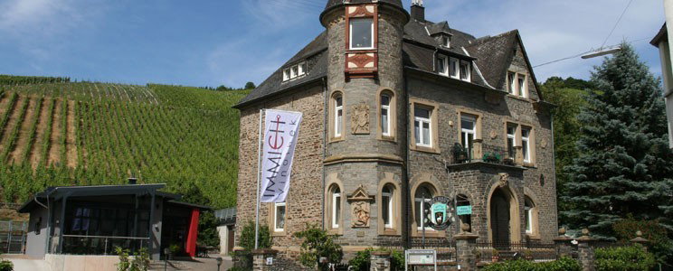 Immich-Anker
