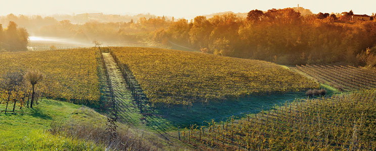 Borgo Molino Vigne &