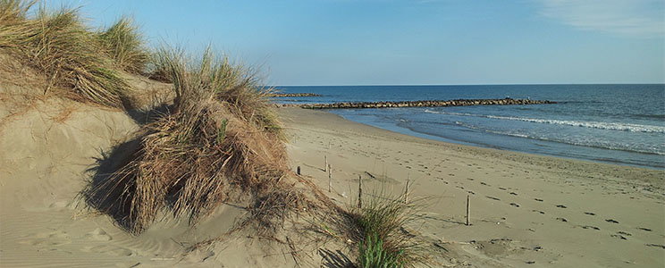 Moulines et Figueirasse