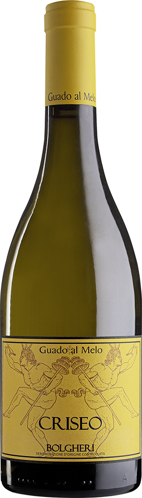 2023 Criseo Cuvée Bolgheri DOC