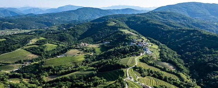 Tenuta Stella