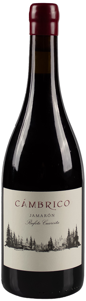 2019 Cámbrico Jamarón Sierra de Salamanca DOP BIO