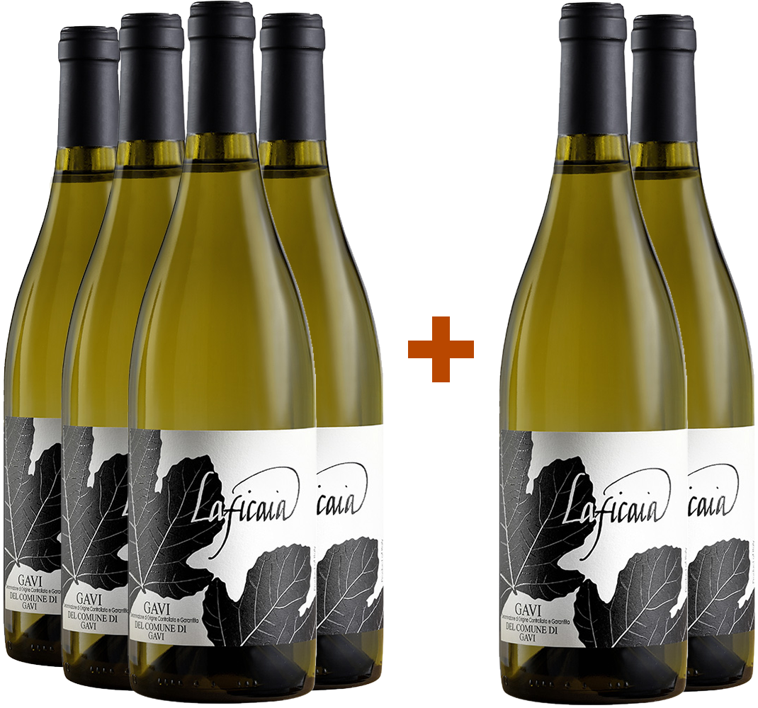 4+2 Paket Gavi del comune di Gavi DOCG