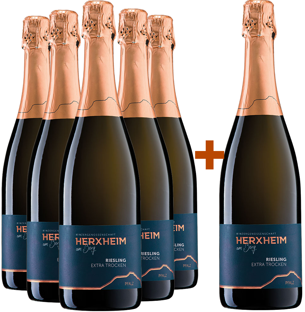 5+1 Riesling Sekt extra trocken