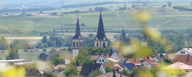 Höhn