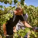 Bodegas Figueroa