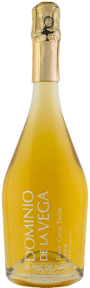 2017 Dominio de la Vega Cerro Tocón Cava DO