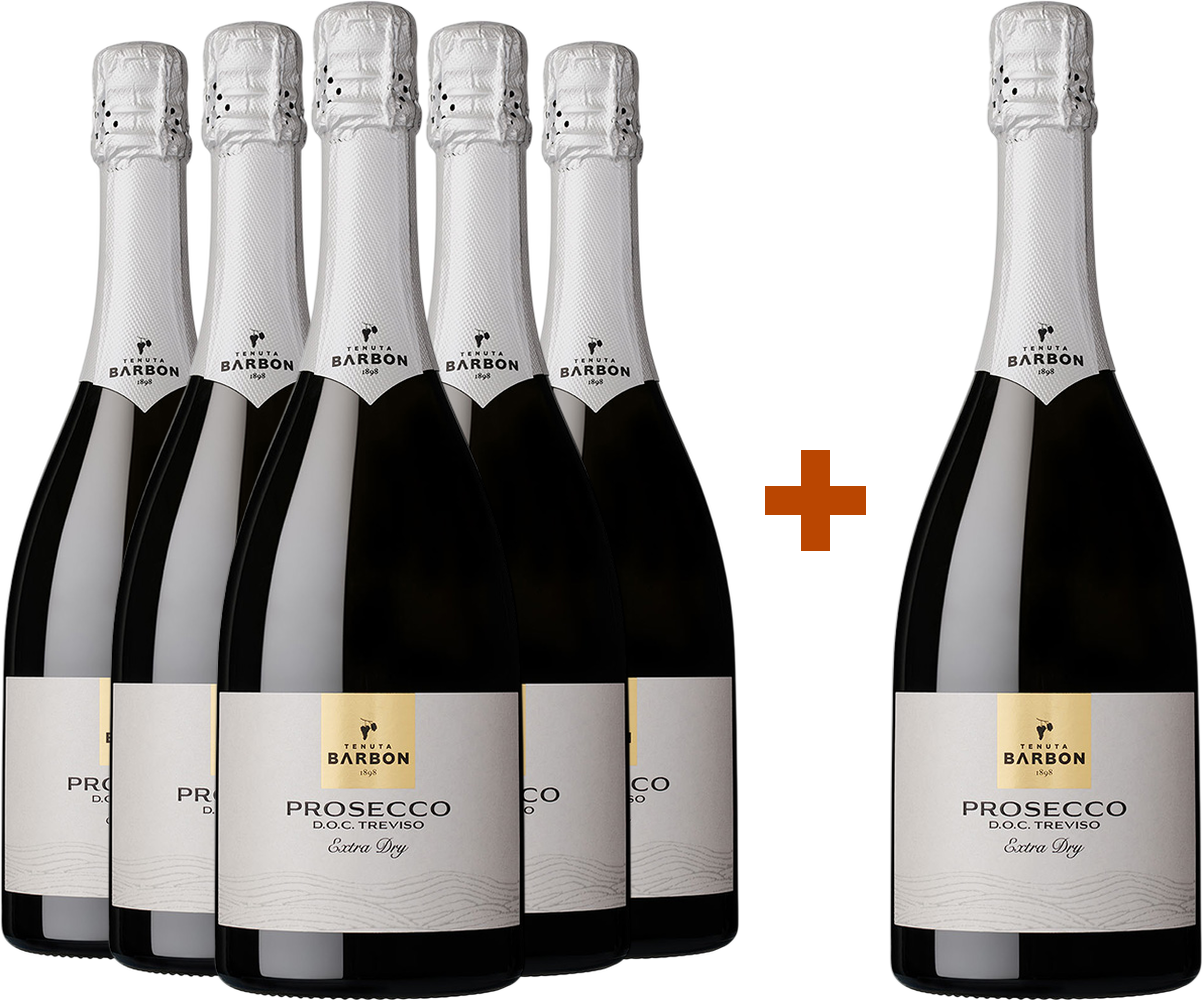 5+1 Paket Prosecco DOC Treviso ExtraDry