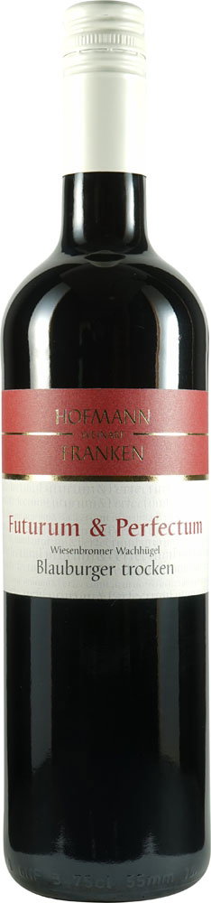 2019 Wiesenbronner Wachhügel Blauburger