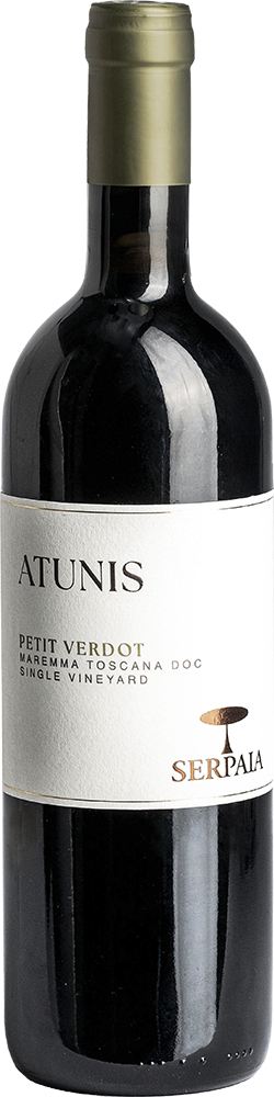 2020 Petit Verdot Maremma Toscana DOC reflection