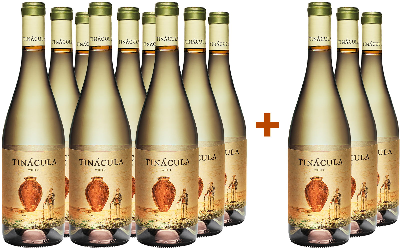 9+3 Tinácula White Aktionspaket (limitiert) Ribera del Júcar DO BIO