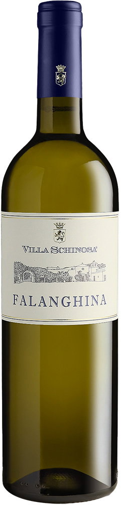 2025 Falanghina Puglia IGP