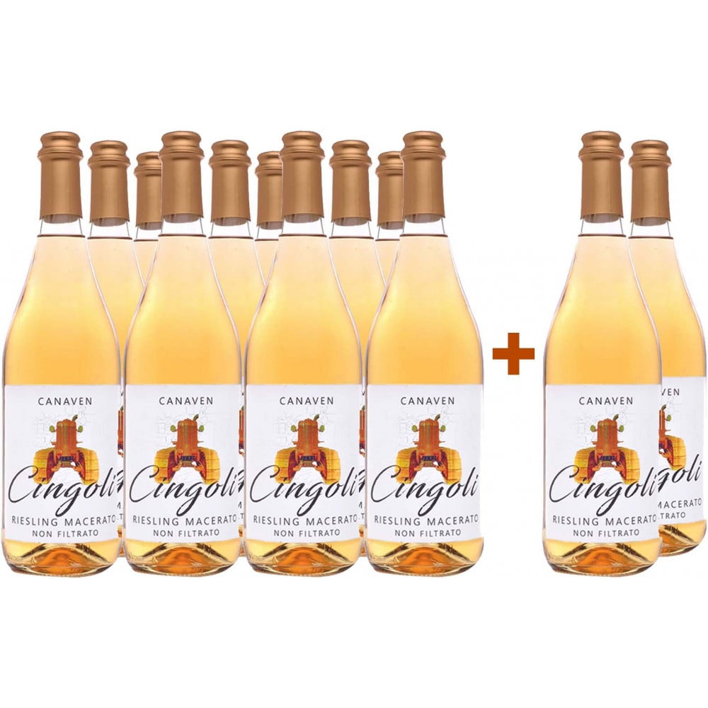10+2 Paket Cingoli Provincia di Pavia IGP BIO