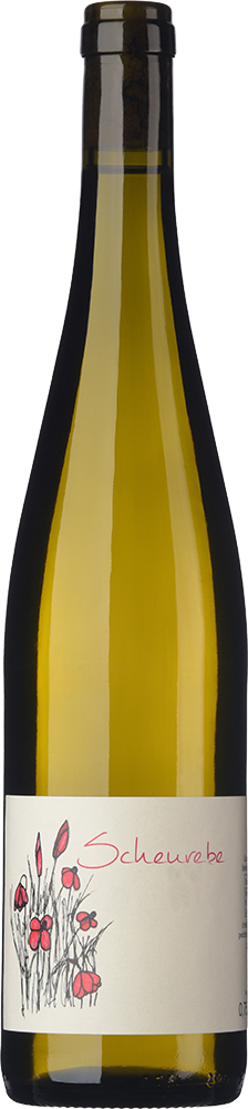 2024 Scheurebe BIO
