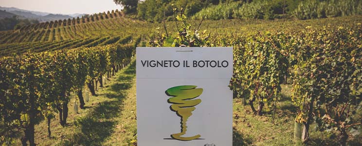 Il Botolo