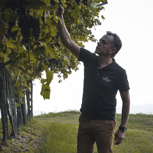 Alessandro Fabiano