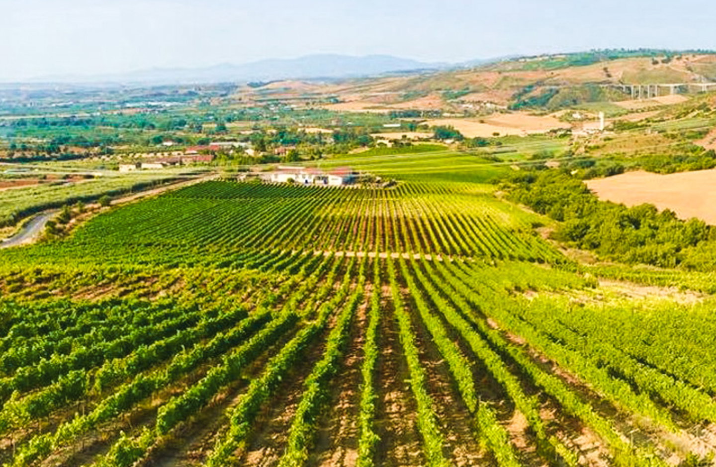 Tenuta Celimarro