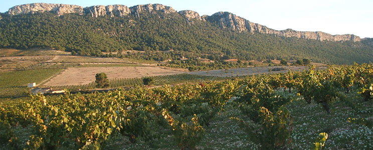 Les Vins Bonhomme
