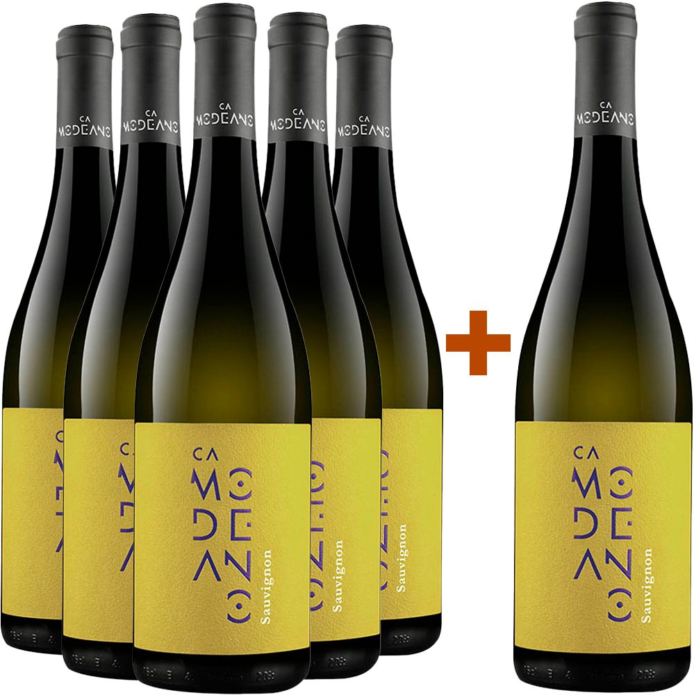 5+1 Sauvignon Friuli DOC