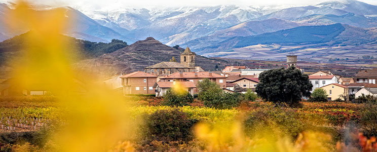 y Viñedos Leza García