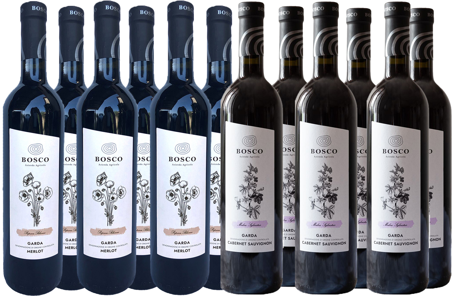 Gardasee Kennenlern-Paket