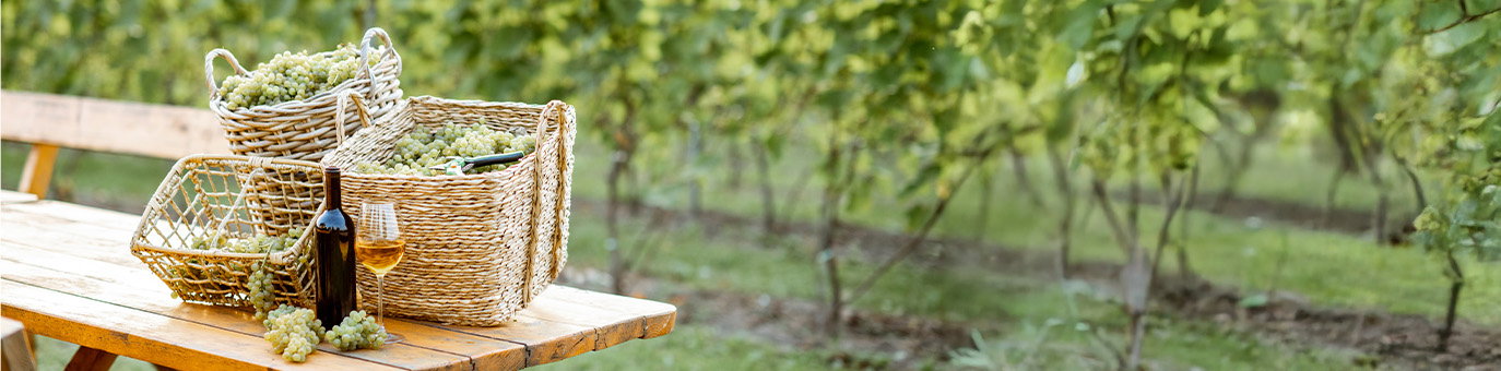 Winzerpaket mit Trauben und Weinflaschen für den Genuss zuhause