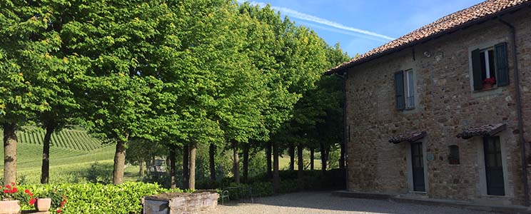 Azienda Vitivinicola La Torretta