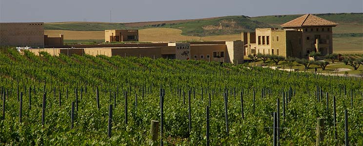 Pagos de Araiz