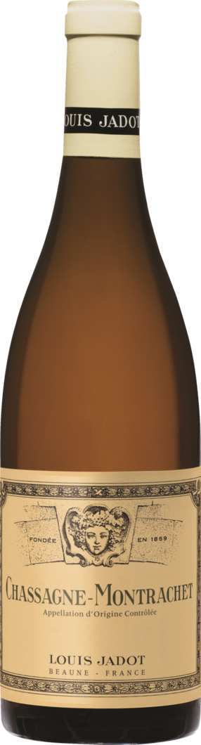 2023 Chassagne Montrachet