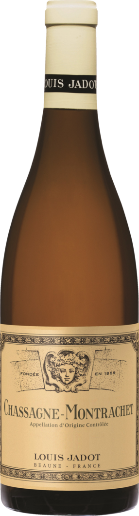 2024 Chassagne Montrachet