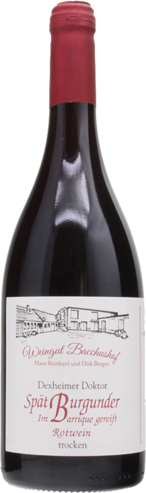 2019 Spätburgunder Barrique