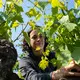 Domaine Sauvète